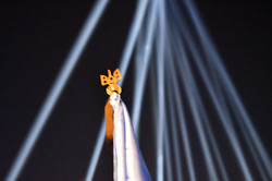 У Львові в пам’ять про Небесну Сотню у небо запустили світлові промені (ФОТО)
