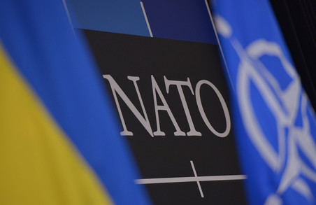 Україні слід зосередитися на реформі Міністерства оборони, а не на Плані дій щодо членства в НАТО