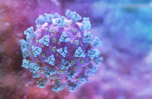 У Чехії виявили новий штам коронавірусу