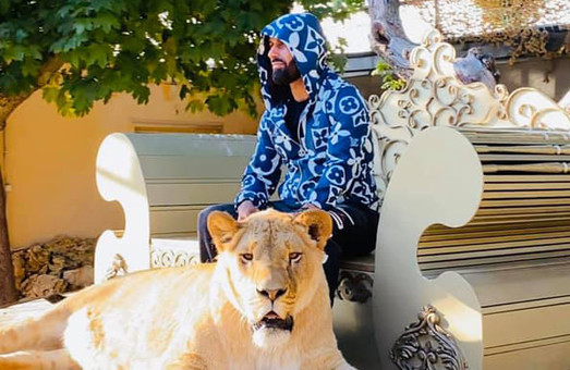 Депутат Харківської міськради від ОПЗЖ задекларував живого лева