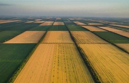 Вартість земельного паю на Львівщині вдвічі вища за середню по Україні