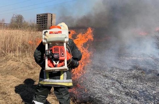 На Львівщині за добу рятувальники загасили 87 пожеж сухостою