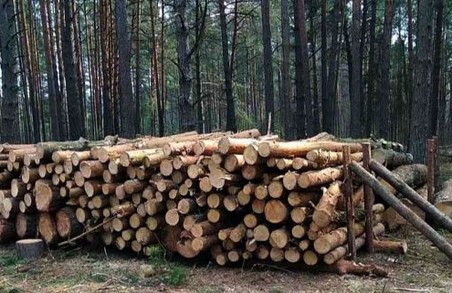 Львівщина поставила для потреб військових 2,2 тис. кубометрів дров