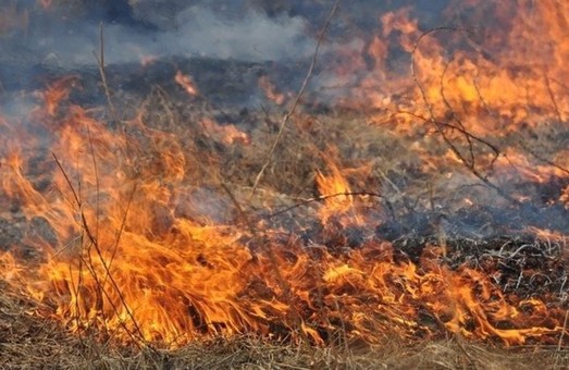 Сьогодні біля Львова сталася пожежа сухостою