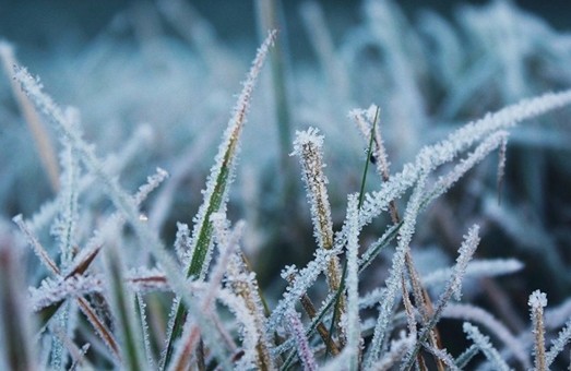 У Львові та Львівській області завтра зранку очікуються заморозки