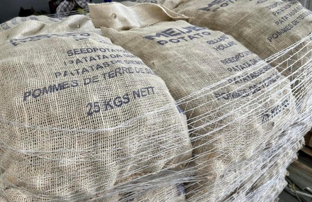 Аграрії Яворівської громади на Львівщині отримали 5 тонн насінневої голандської картоплі