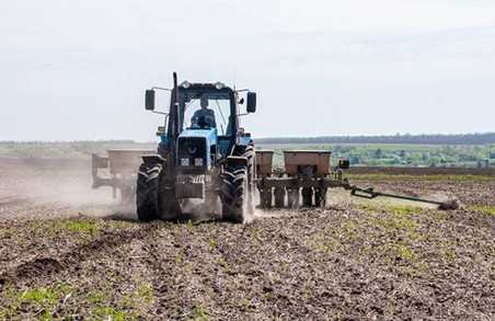 В Україні аграрії вже засіяли ярими культурами 90% прогнозованих площ