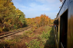 Золота осінь з паровозами на Гайворонській вузькоколійці (ВІДЕО)